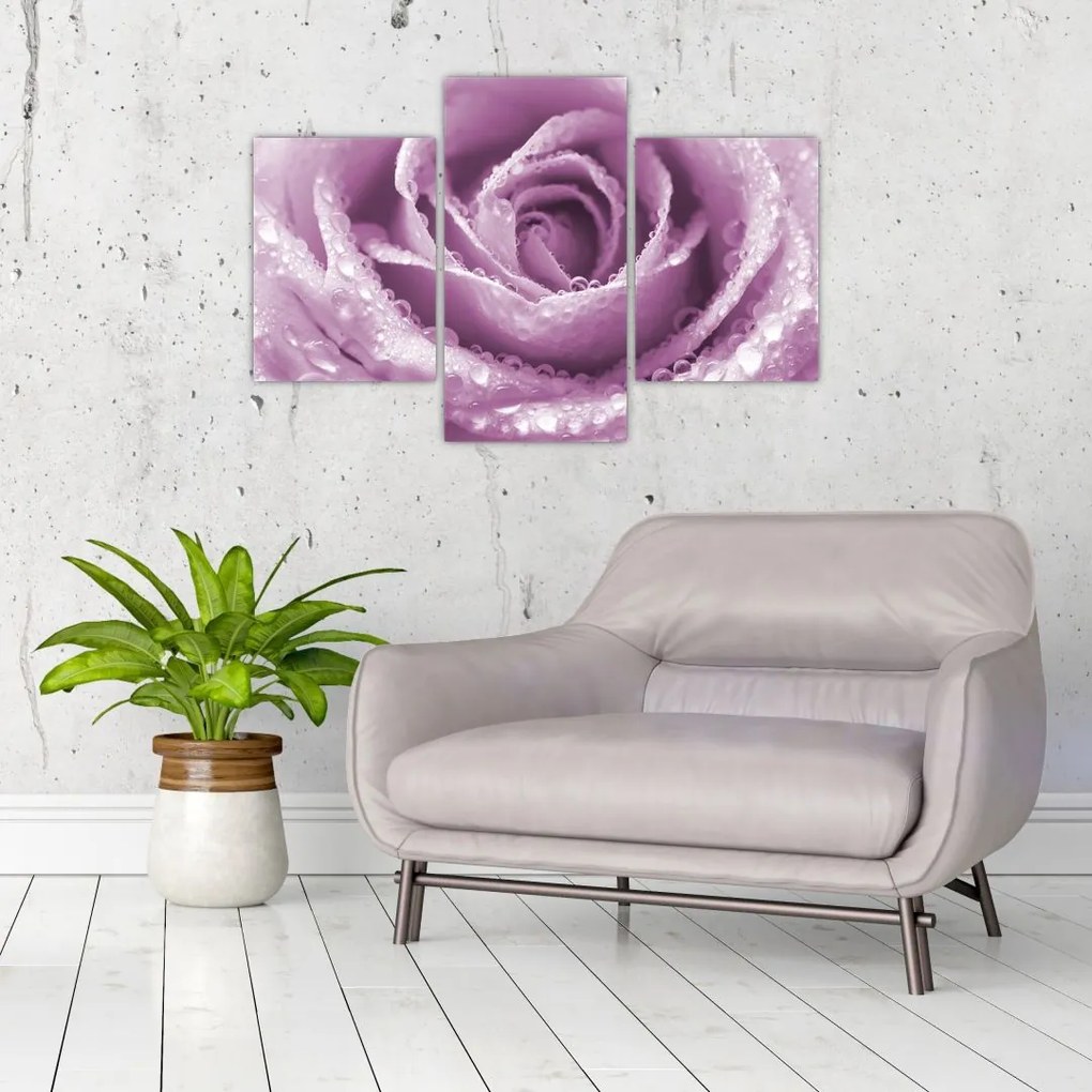 Tablou detaliu de floare de trandafir (90x60 cm)