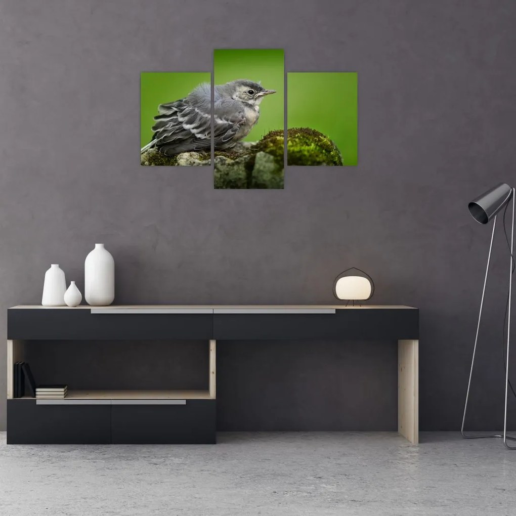 Tablou - Muscarul (90x60 cm)