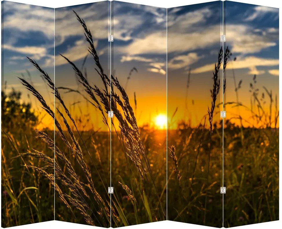 Paravan - Câmp în apus de soare (210x170 cm)