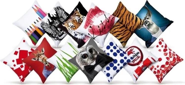 Perna moderna Cool Dog 40x40