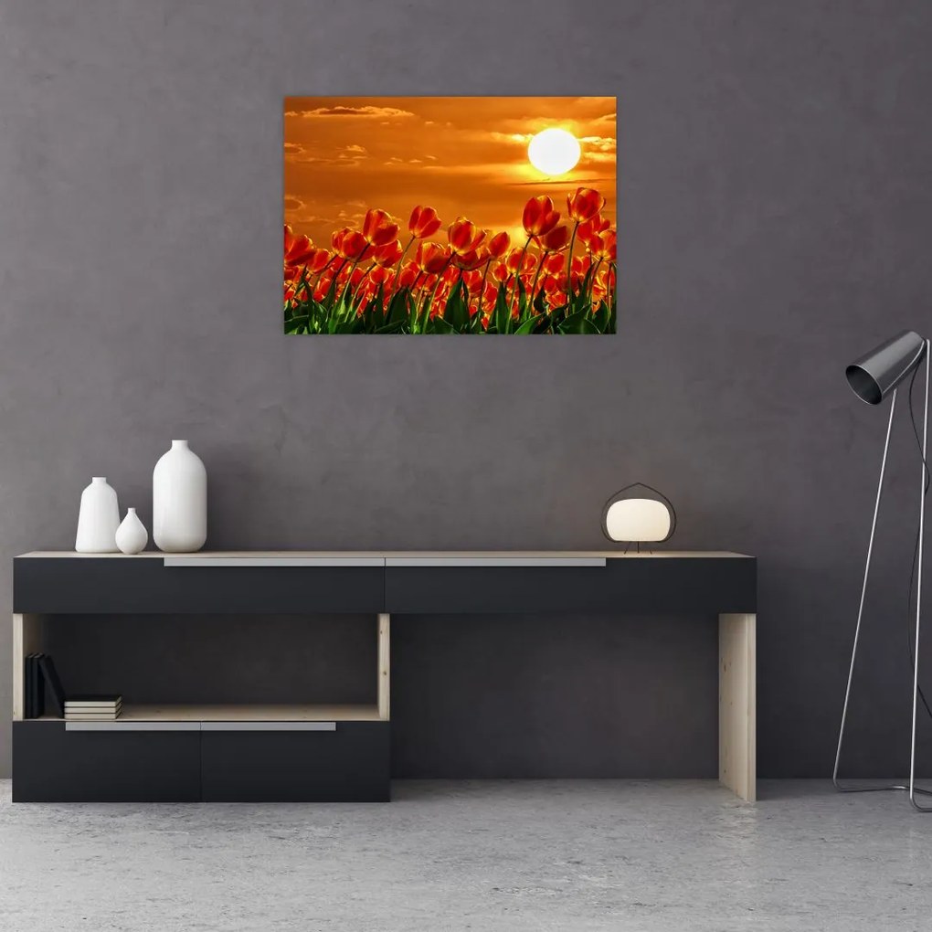 Tablou pe sticlă - lan înflorit de lalele (70x50 cm)