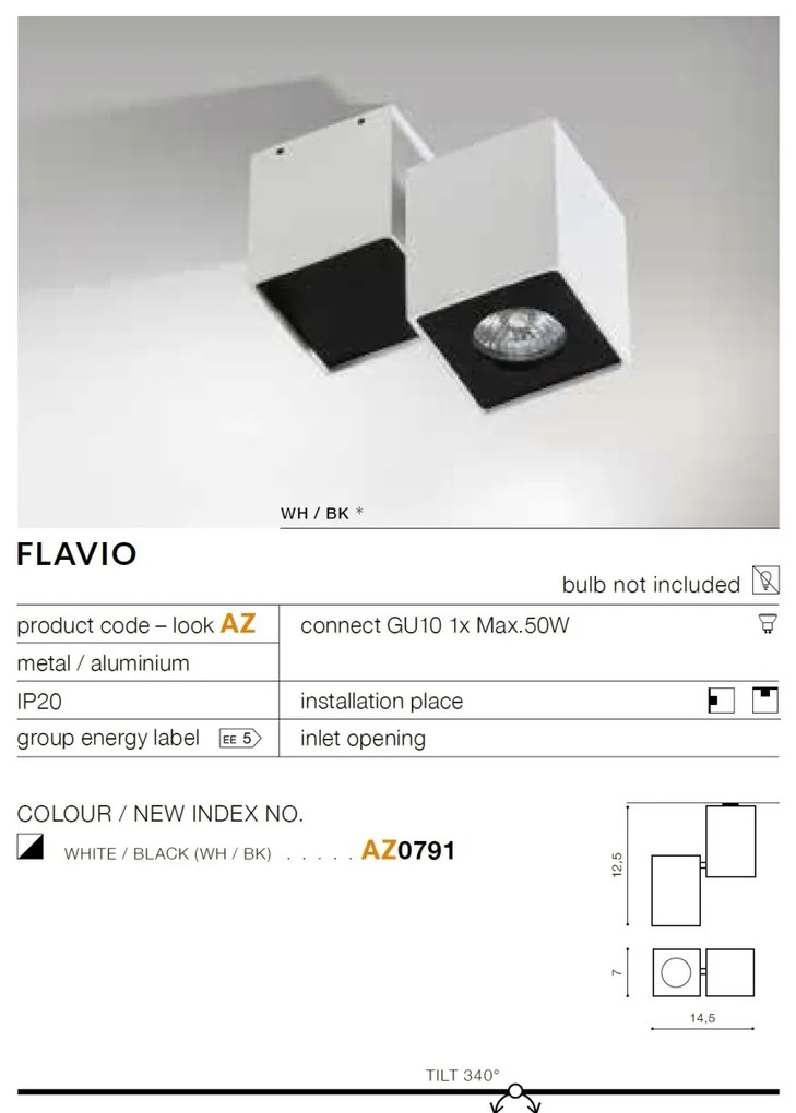 Plafoniera cu spot directionabil tavan/plafon FLAVIO 1