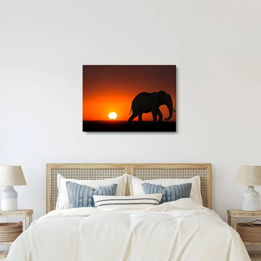 Tablou cu elefant în apus de soare (70x50 cm)