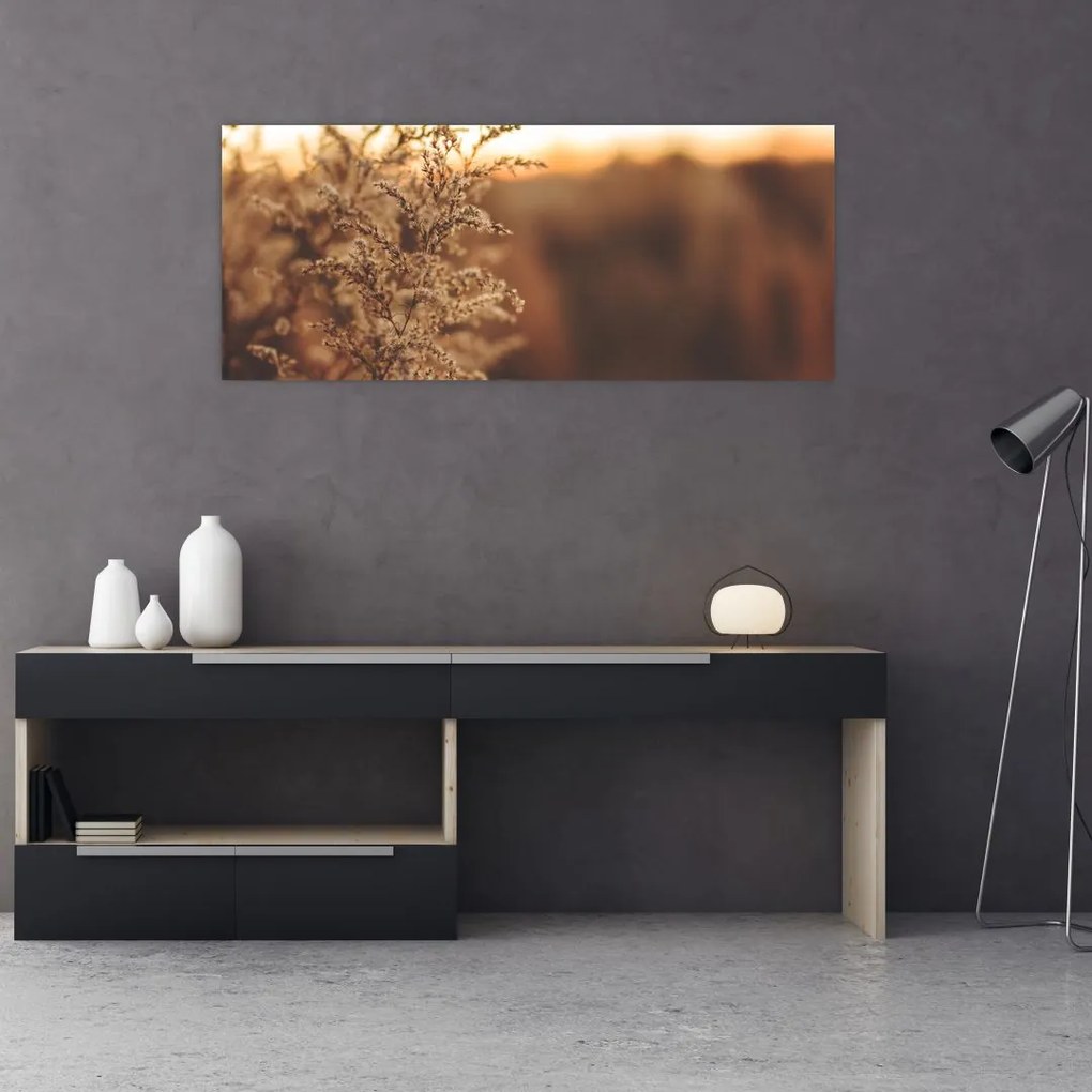 Tablou - Iarba înflorită (120x50 cm)