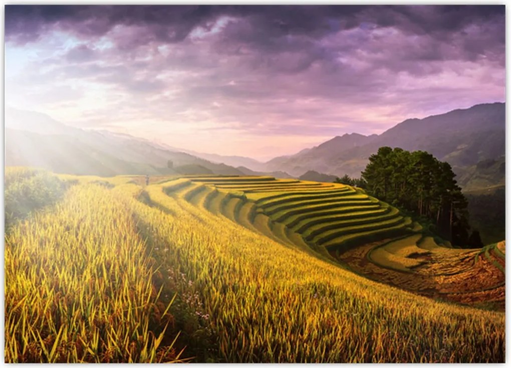 Tablou peisajului (70x50 cm)