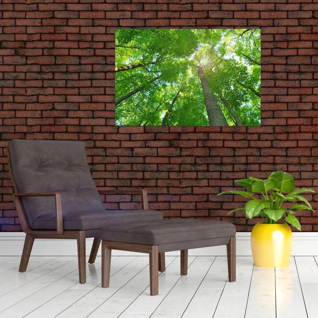 Tablou - Lunca (90x60 cm)