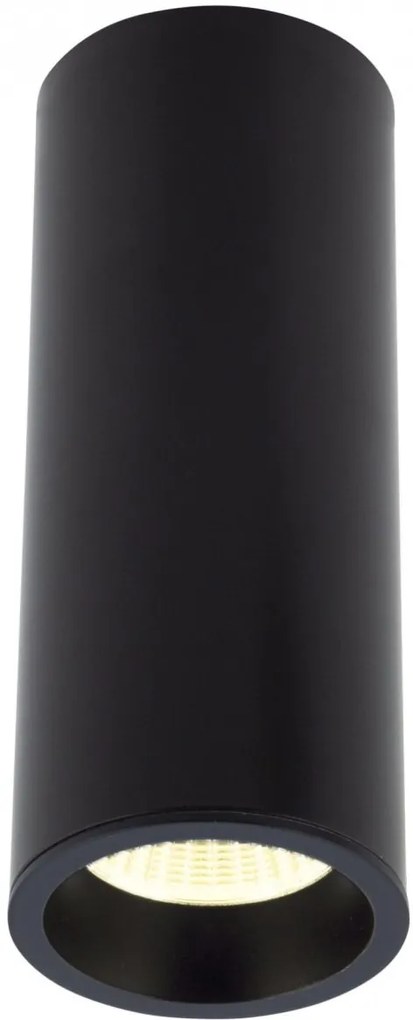 MaxLight Long lampă de tavan 1x7 W negru C0154