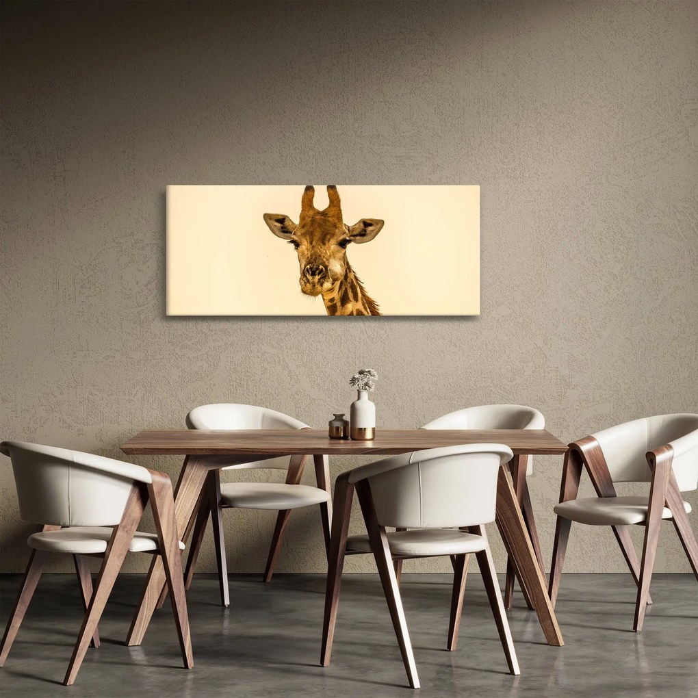 Tablou cu girafe (120x50 cm)