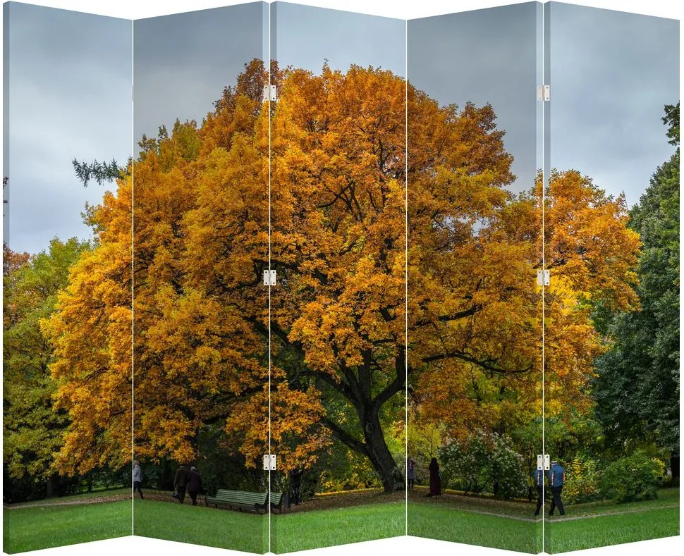 Paravan - Copac (210x170 cm)