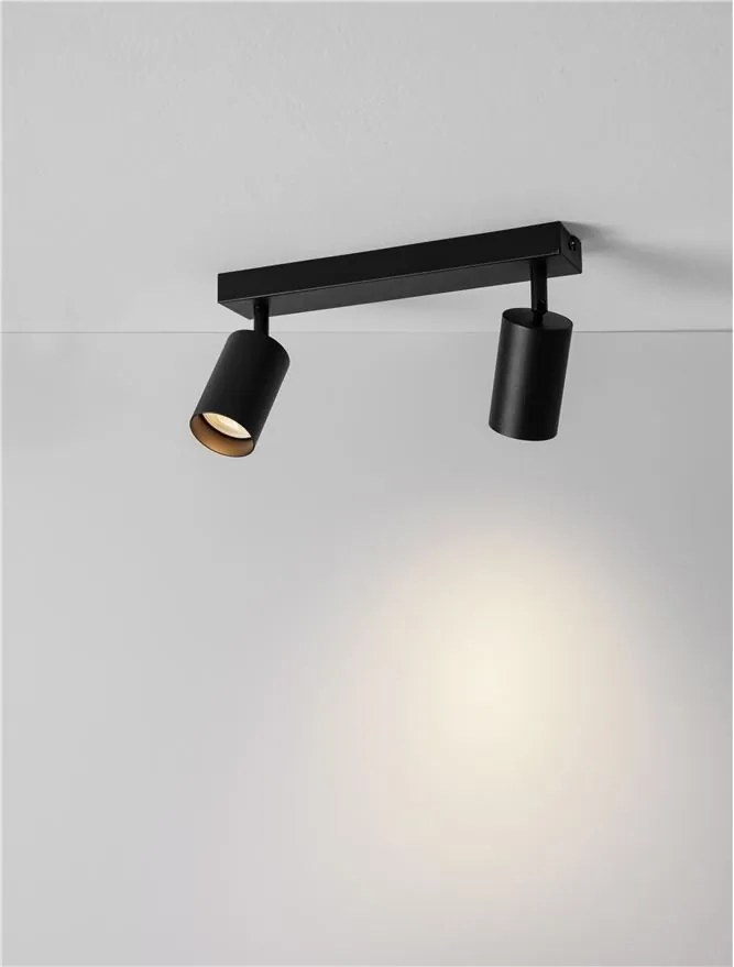 Plafoniera cu 2 Spoturi directionabile minimalista REIG, NVL-9011534