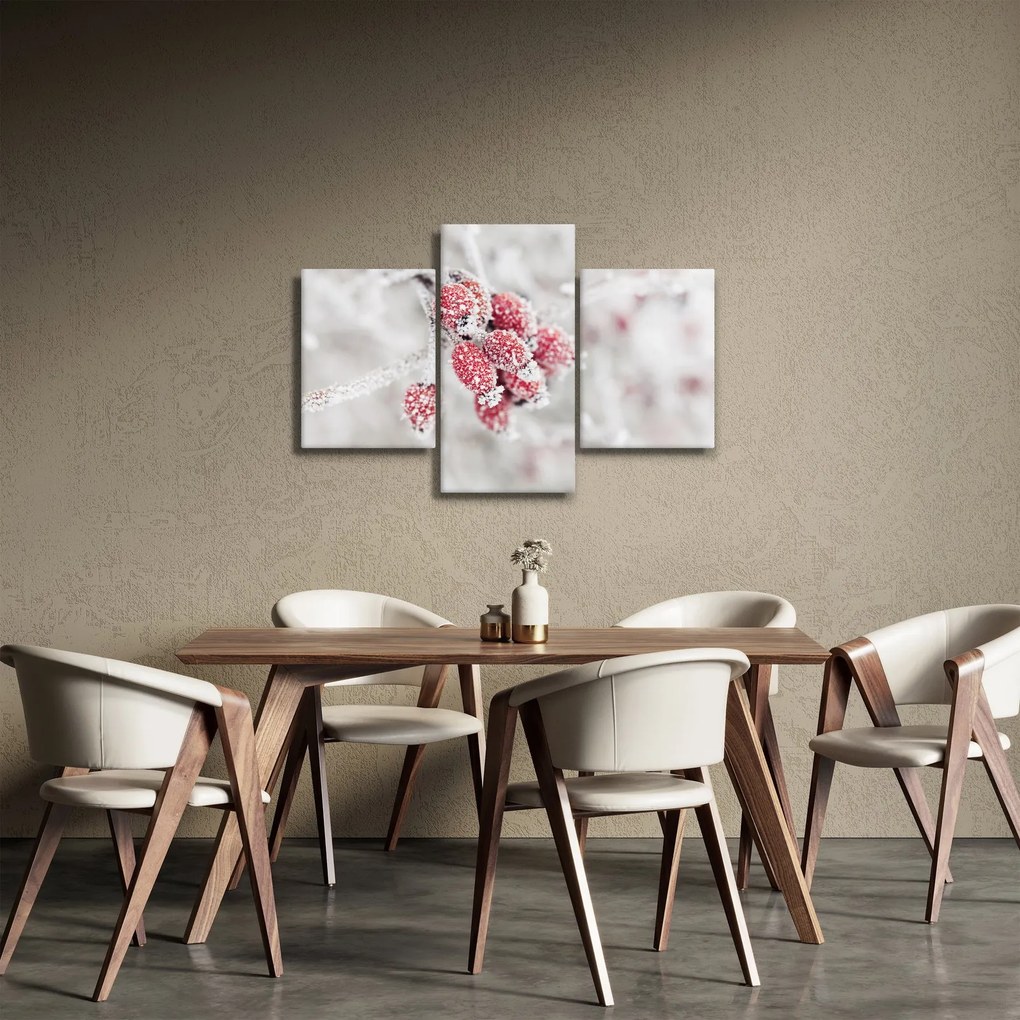 Tablou - Fructe congelate (90x60 cm)