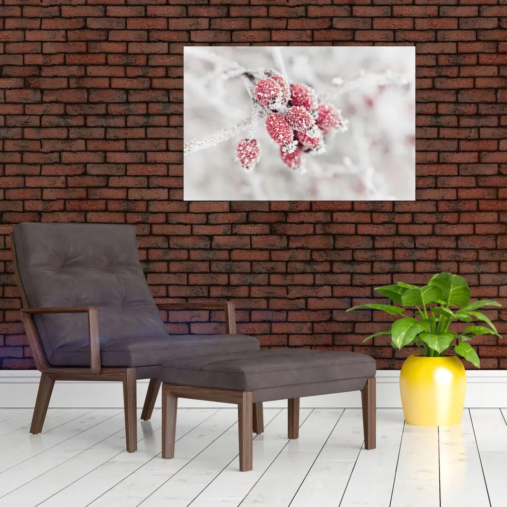 Tablou - Fructe congelate (90x60 cm)