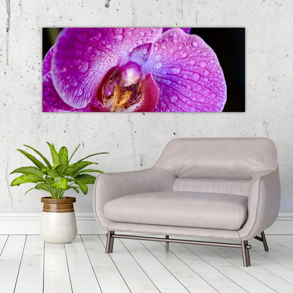 Tablou detailat cu floare de orhidee (120x50 cm)