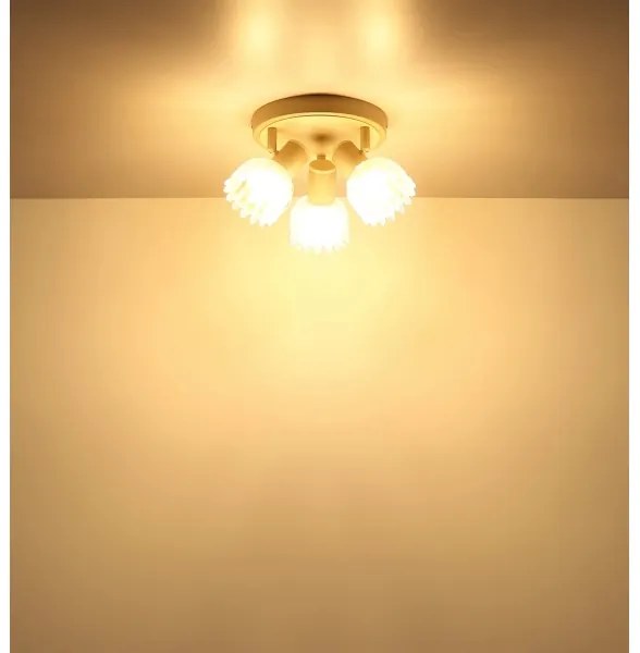 Globo 54317-3 - Lampă spot PLANTA 3xE14/40W/230V