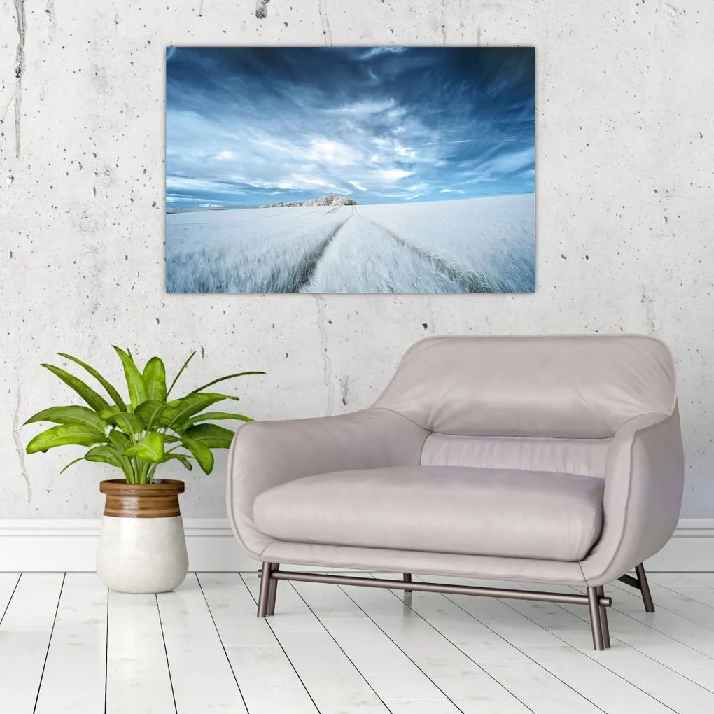 Tablou - Câmp (90x60 cm)