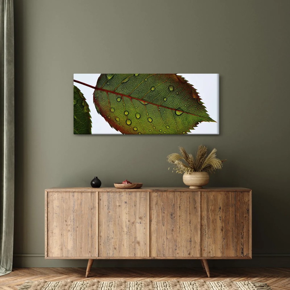 Tablou - Frunze de trandafir (120x50 cm)