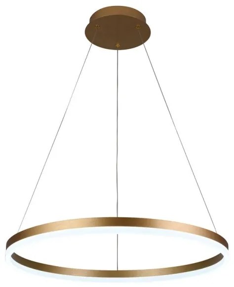 Lustră LED dimabilă pe cablu Brilagi CIRCLE LED/42W/230V 3000-6500K + telecomandă