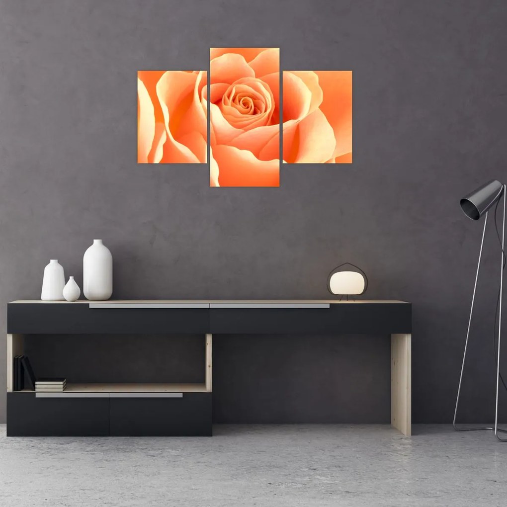 Tablou - Imaginea- Trandafiri, culoarea caisei (90x60 cm)