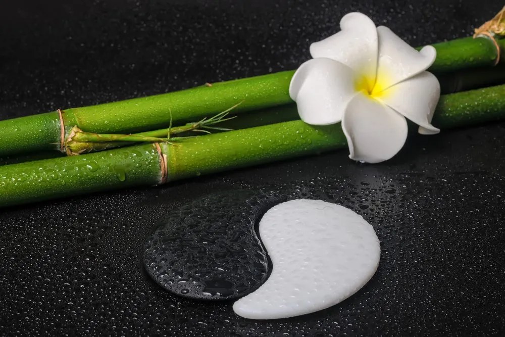 Tablou Spa natura moartă și pietre Yin și Yang