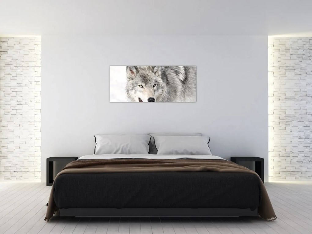 Tablou - Lupul în natură (120x50 cm)