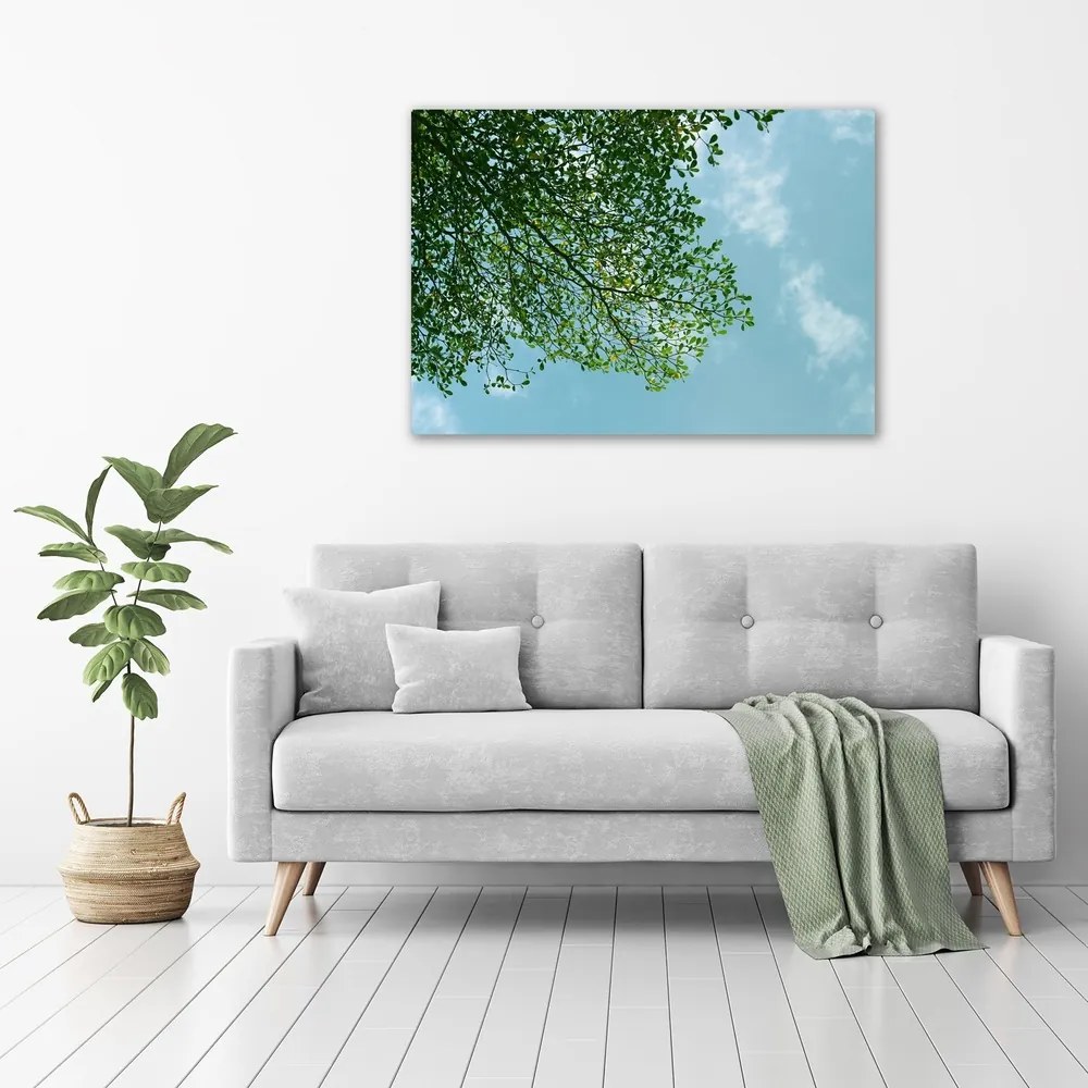 Imprimare tablou canvas Frunze pe cer