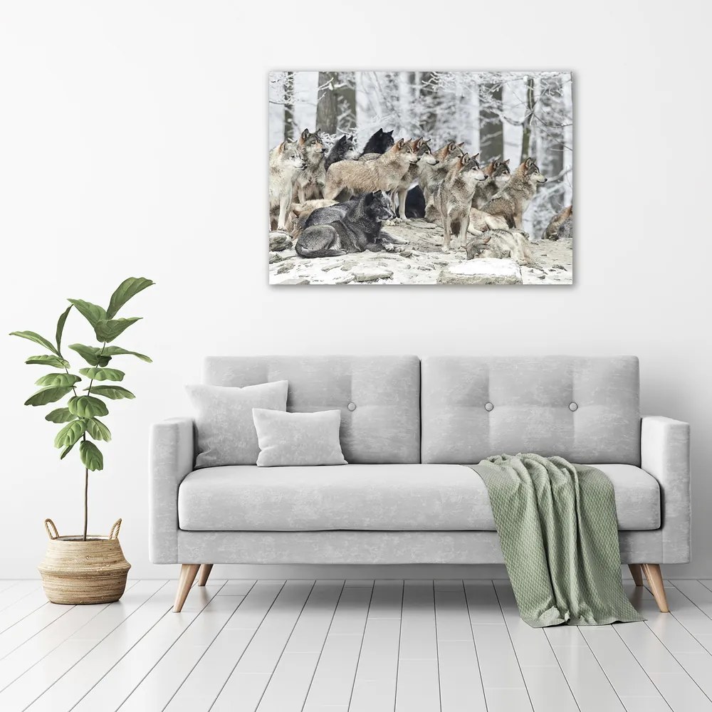 Tablou pe pânză canvas Lupi în timpul iernii