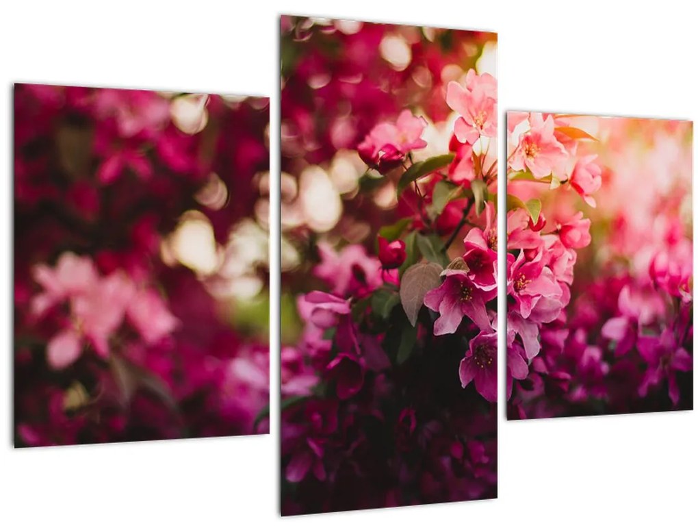 Tablou cu florile tufișului înflorit (90x60 cm)