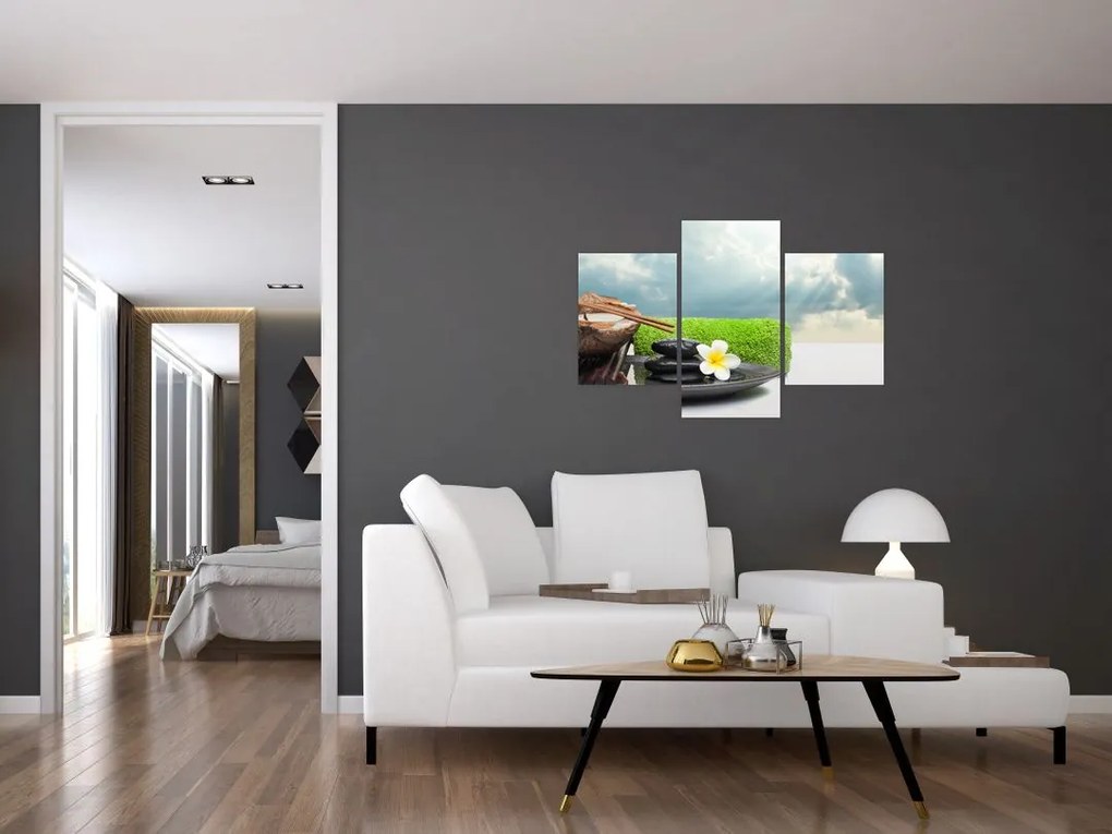 Tablou - Spa and relax (90x60 cm)