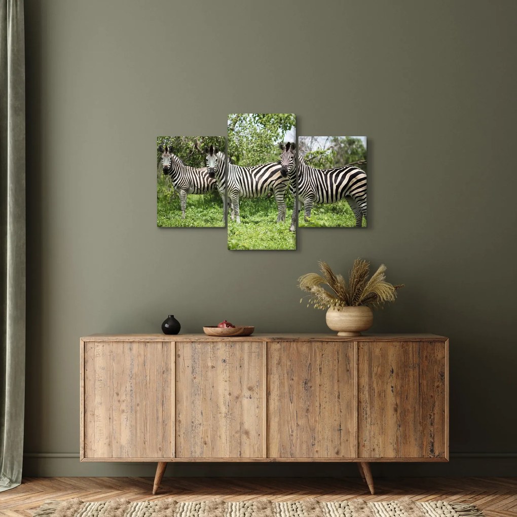 Tablou cu zebre (90x60 cm)
