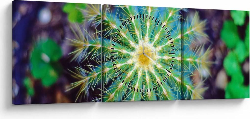 Tablou cu cactus (cu ceas) (90x30 cm)