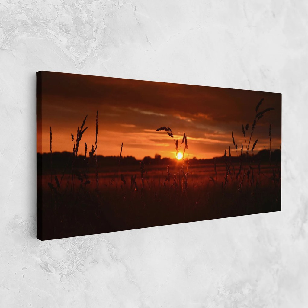Tablou Canvas, 100x200cm, Dormitor si Living, Peisaje, Apus de soare, Field Shilouette