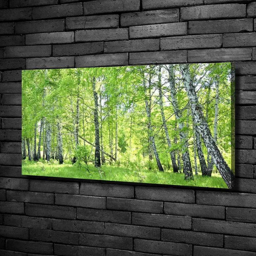 Imprimare tablou canvas Pădurea de mesteacăn