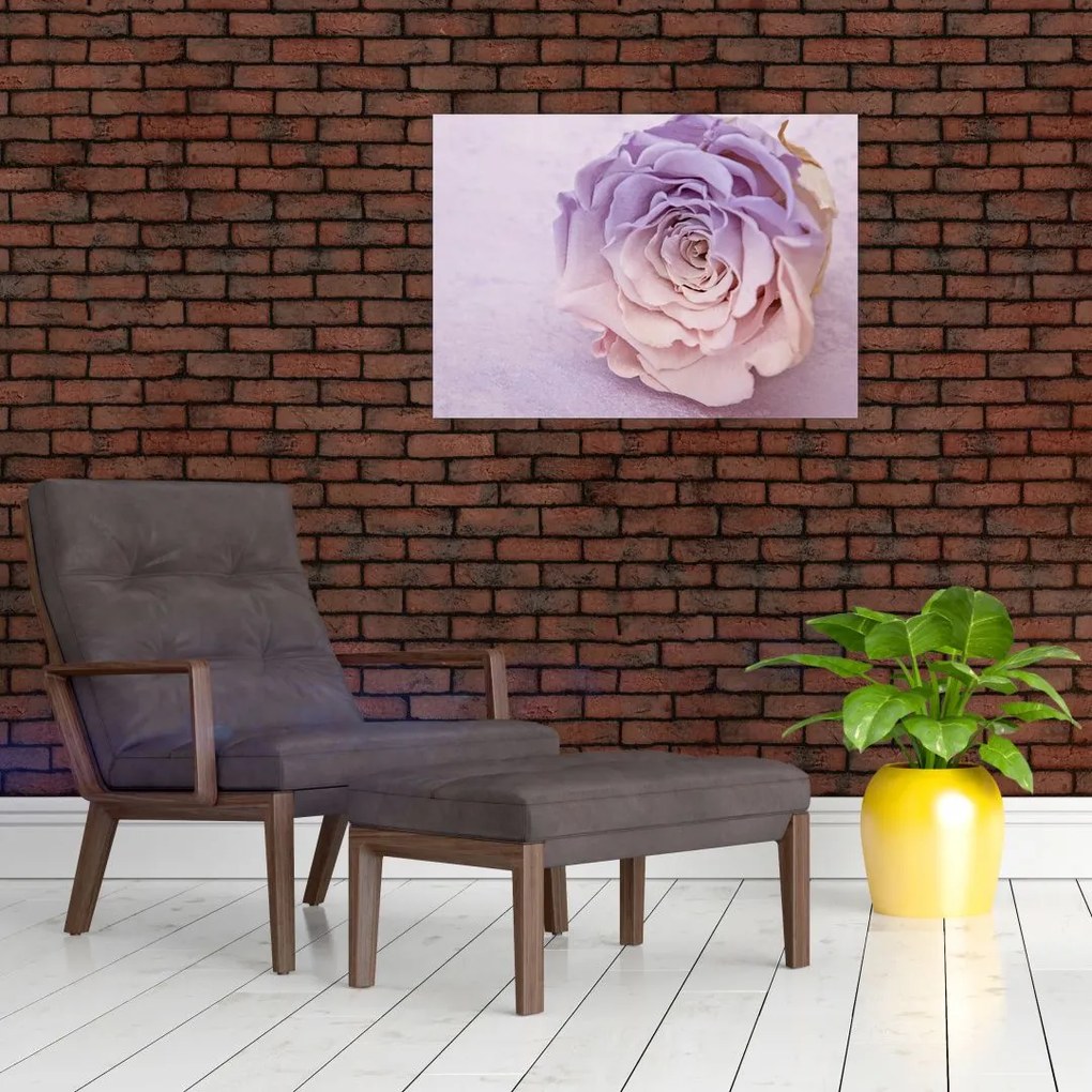 Tablou detaliu florii de trandafir (70x50 cm)