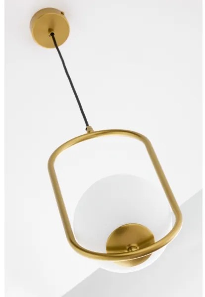 Lustră pe cablu Jupiter 2042 IGON 1xE14/40W/230V auriu