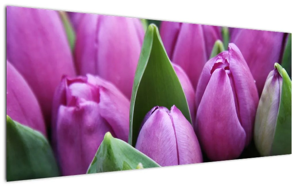 Tablou - florile lalelelor (120x50 cm)