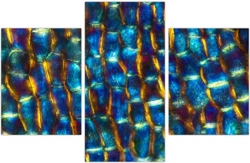 Tablou - Peretele celular (90x60 cm)