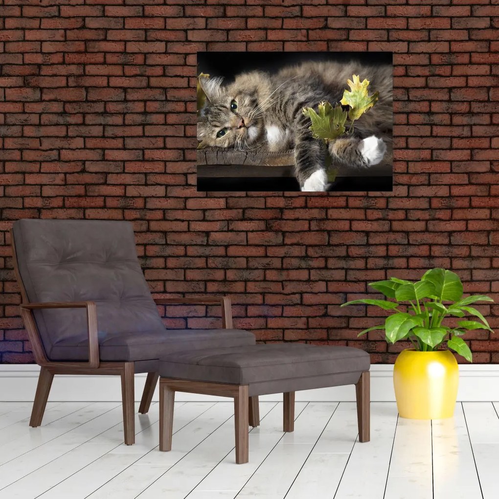 Tablou - Pisica mincinoasă (70x50 cm)