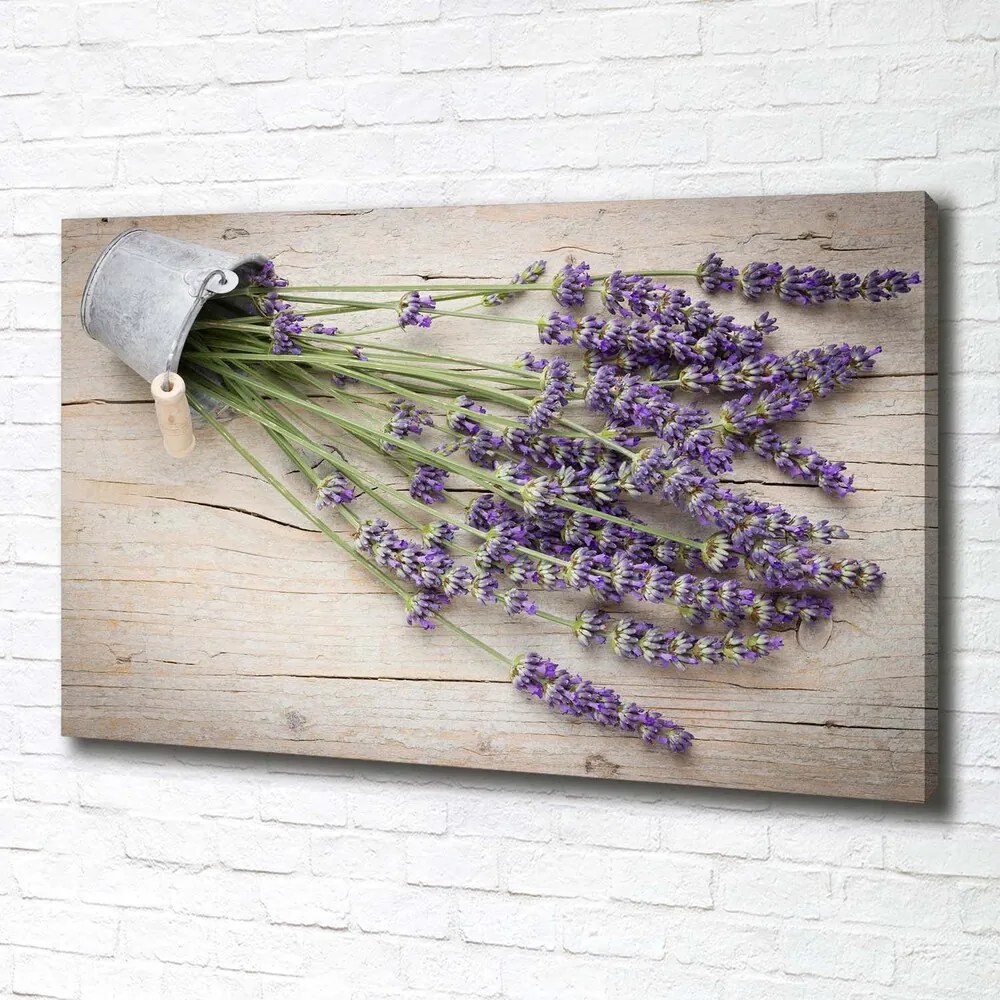 Imprimare tablou canvas Levănțică în oală