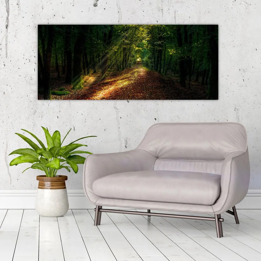Tablou cu poteca prin pădure (120x50 cm)