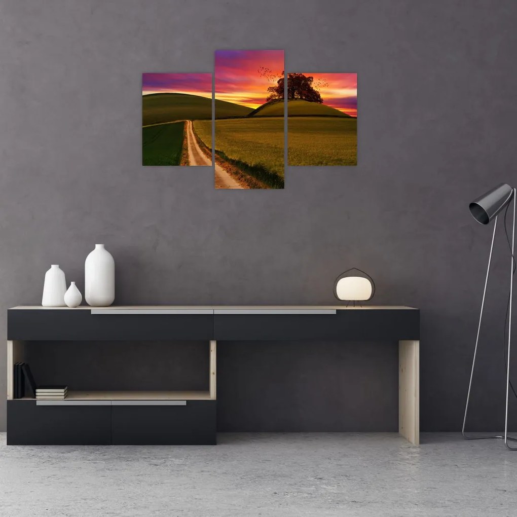 Tablou câmpului cu apus de soare (90x60 cm)