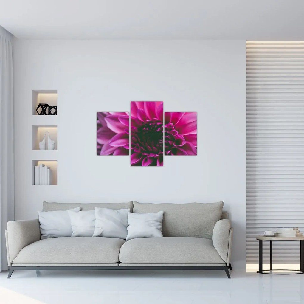Tablou cu floarea roz (90x60 cm)