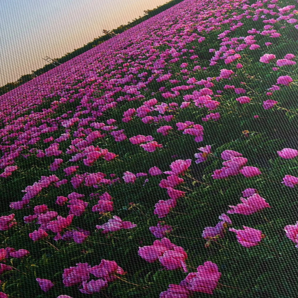 Tablou - Pajiștea cu lalele violet (cu ceas) (90x30 cm)