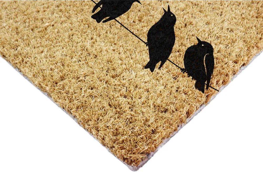 Covoraș de intrare din fibre de nucă de cocos 40x60 cm Birds On a Wire – Artsy Doormats