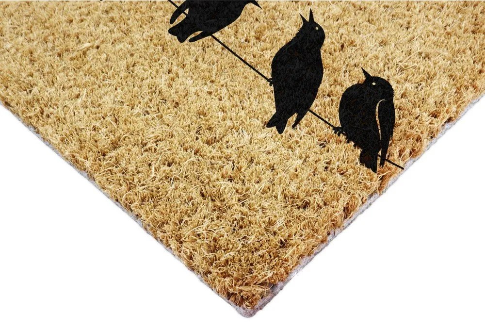 Covoraș de intrare din fibre de nucă de cocos 60x90 cm Birds On a Wire – Artsy Doormats