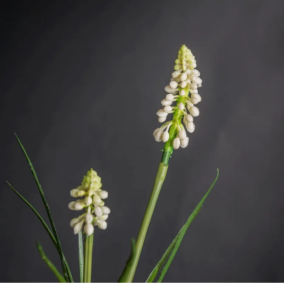 Aranjament floral mic decor festiv design LUX ETERNITY CUBO SINGLE MUSCARI