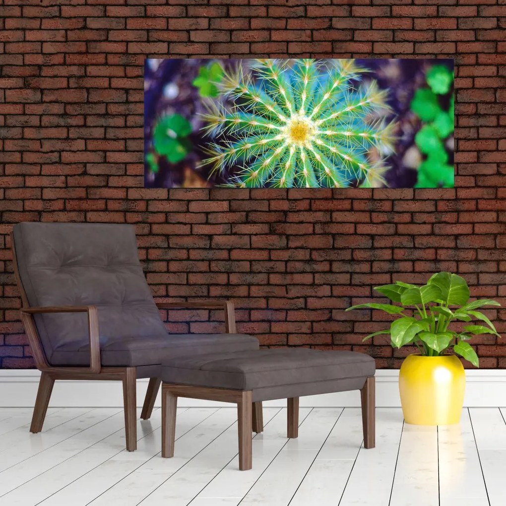 Tablou cu cactus (120x50 cm)