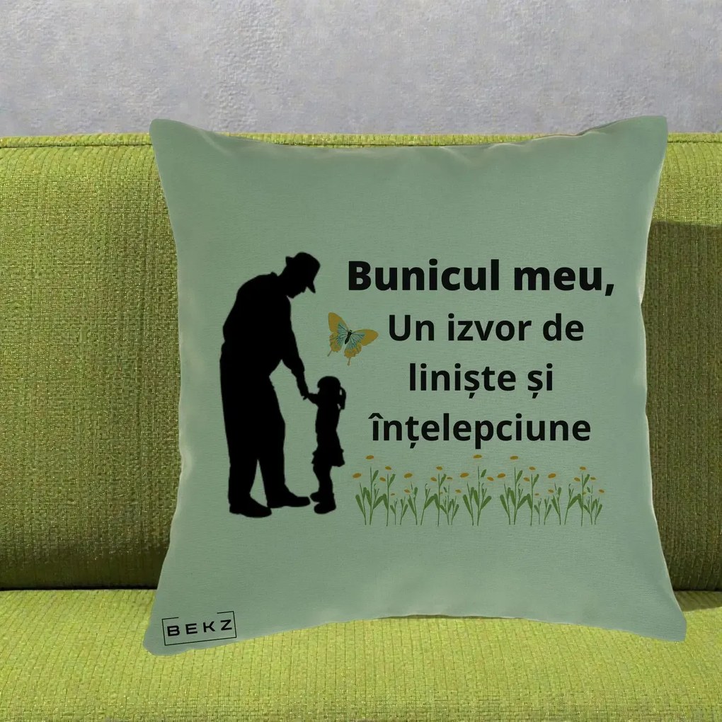 Cadou pentru Bunic - Perna Personalizata Bunicul Meu Izvor de Liniste cu Fluture si Fetita, 40x40 cm, Verde, Husa Detasabila, Perna Inclusa, BEKZ®