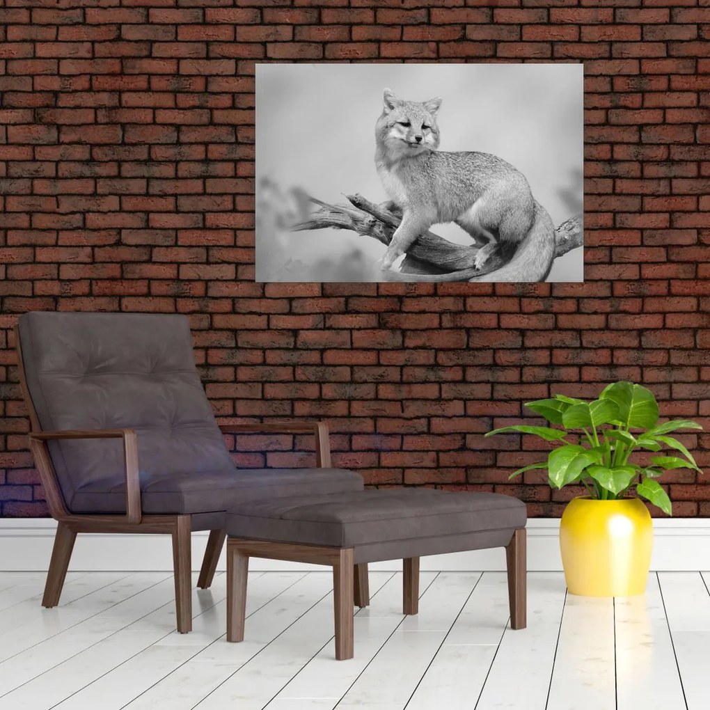 Tablou - Vulpe gri (90x60 cm)