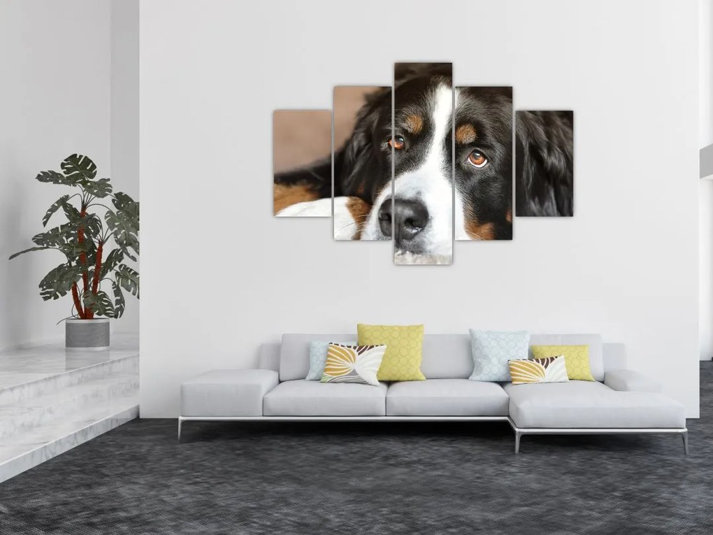 Tablou cu câine (150x105 cm)