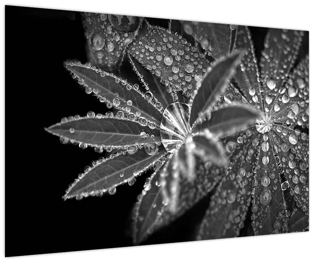 Tablou - Picături (90x60 cm)